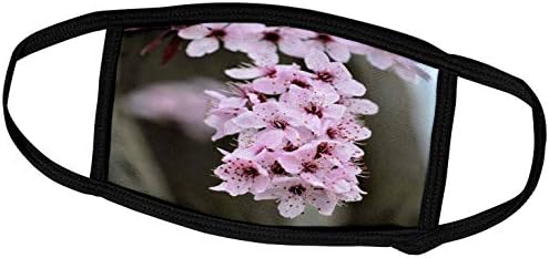 3dRose PS Çiçekler - İlkbaharda Pembe Çiçekli Ağaç-Güzel Çiçekler-Yüz Maskeleri (fm_59125_2)
