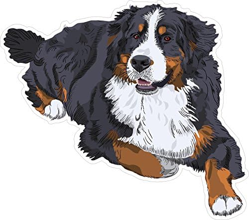 Köpek 2 Bernese Dağ Köpeği 5x5. 6 inç Adamın En İyi Arkadaşı Köpek Yavrusu Hayvan Amerika Birleşik Devletleri Murica