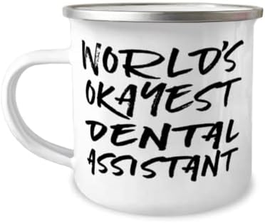 Dünyanın En İyi Diş asistanı-12oz Benzersiz Komik Paslanmaz Çelik Emaye Camper Kupa Diş asistanı için