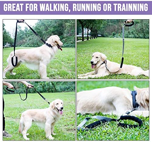 NA Doglemi Çekme Önleyici Eğitim Köpek Tasması-Amortisörlü Çok Fonksiyonlu Köpek Tasması - Çekmesiz Köpek Bungee Tasması-Orta