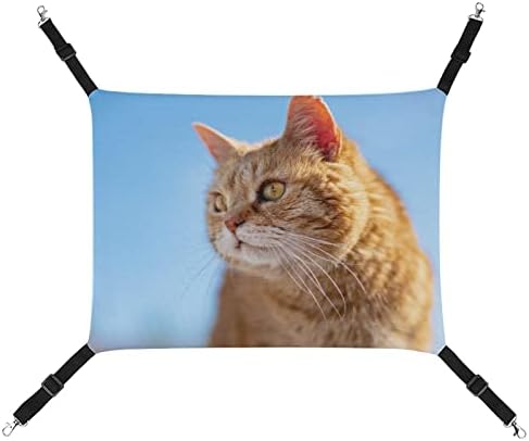Evcil hayvan hamağı Turuncu Kedi Kedi yatak Ayarlanabilir Askıları ve Metal Kanca ile 16.9x 13