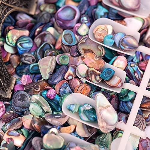 1000 g/torba Nail Art Abalone Kabuk Parçaları Glitter Çivi Aksesuarları Deniz Kabuğu Doku Sequins Kadın DIY - (Renk: