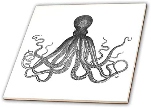 3dRose InspirationzStore Vintage Art-Vintage ahtapot-Siyah beyaz Lord Bodner kraken-Cthulu-deniz altı deniz devi kalamar