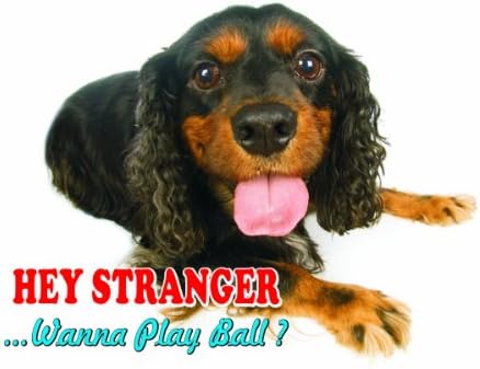 Dikkat-Dikkat / Eğlenceli İşareti Köpek Oyuncak Trol Spaniel Köpek için ev veya ev SF2247 Boyutu A5