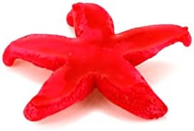 Pufguy Polyresin Yapay Mini Denizyıldızı Dekorasyon 1.7 x 1.8 su tankı Akvaryum Peyzaj Dekorasyon - 2 adet (Kırmızı