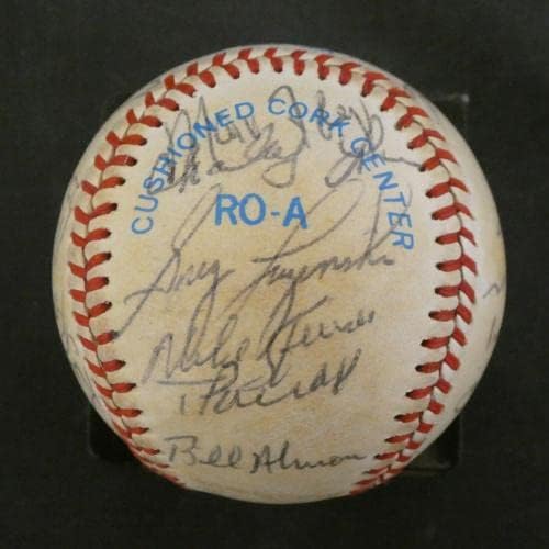 1982 Chicago White Sox Takımı Resmi AL Beyzbol İmzalı Beyzbol Topları İmzaladı