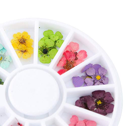 Moda Kurutulmuş Akrilik DIY 3D Çiçek Manikür İpuçları Nail Art Sticker Tırnak Çıkartması