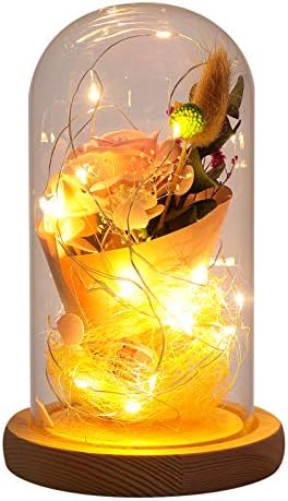 VALİCLUD Gül Süs Gül Cam yapay çiçek LED ışık ve Cam Kubbe ile Gül Anneler Günü için Hediye Sevgililer Günü Doğum